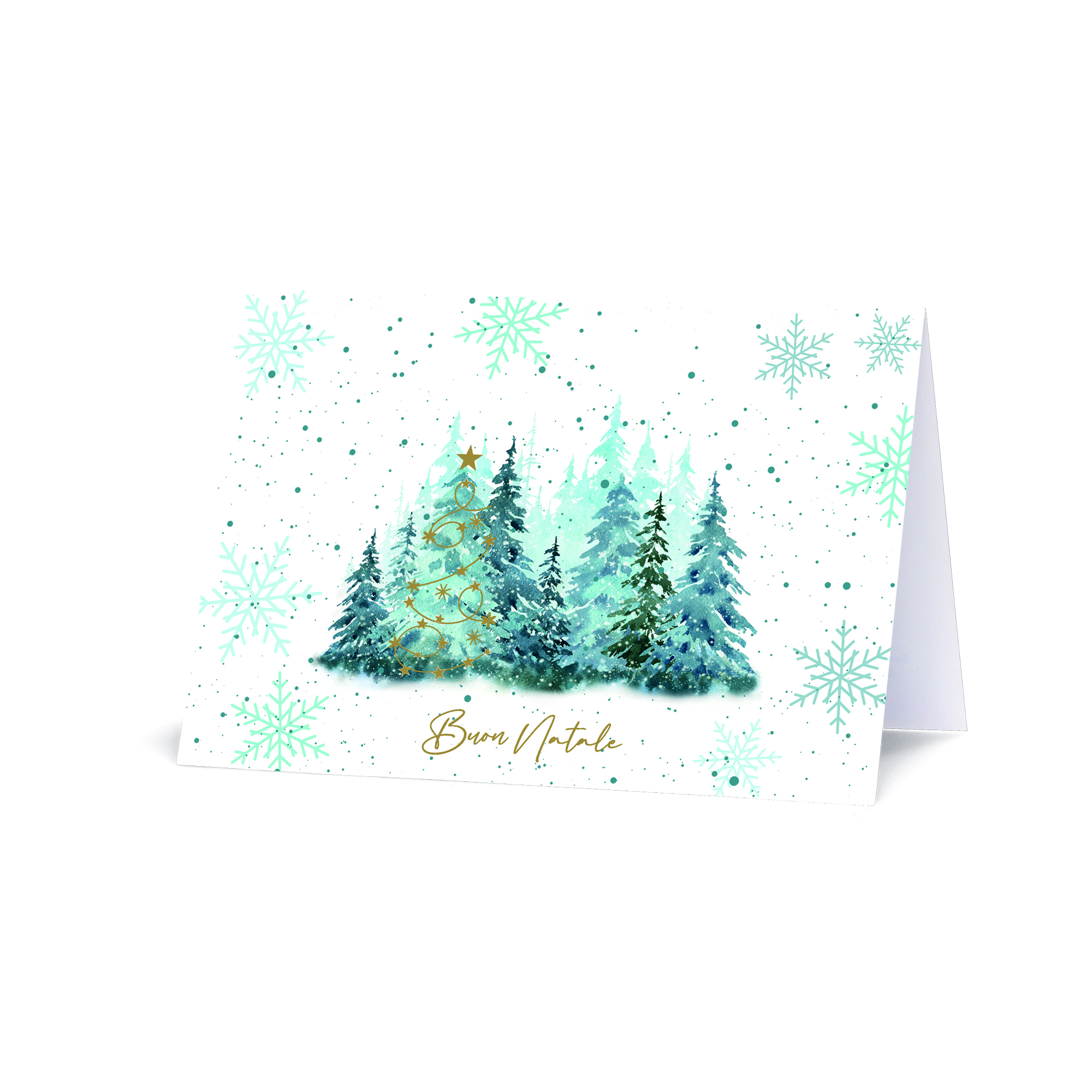 FORESTA INCANTATA